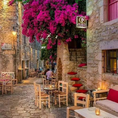 ستایش صادق زاده مثل یک‌ شکوفه گل باتو من عاشق تو نخواهم پنهان شد